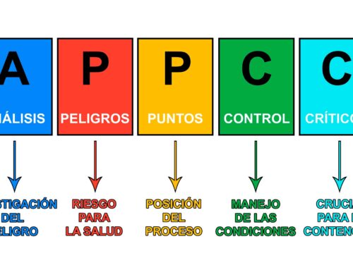 Año nuevo, vida nueva