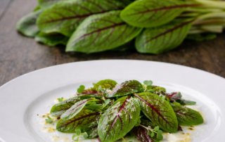 ACEDERA MORADA GRUPO PEDRO TIRADO