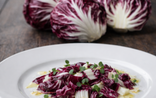 ACHICORIA MORADA GRUPO PEDRO TIRADO