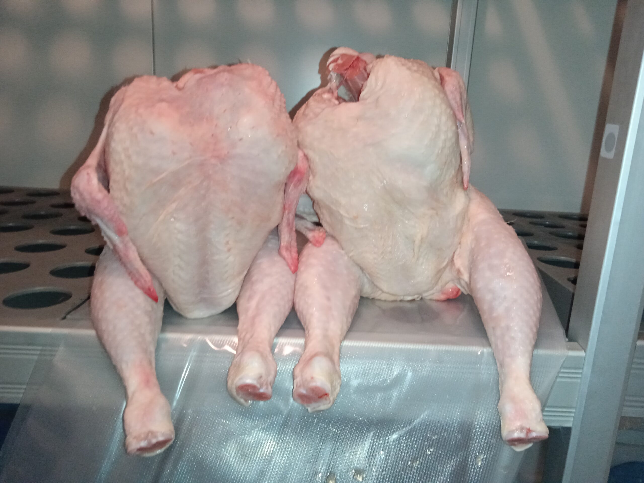 POLLO HALAL GRUPO PEDRO TIRADO